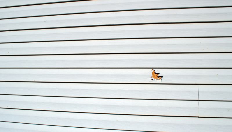 Emergency Siding Services